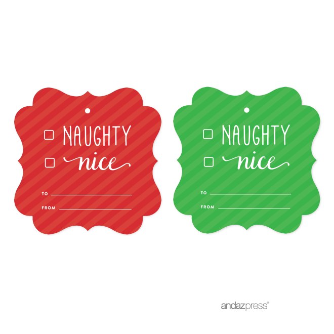 AP58273 Andaz Press Christmas Collection, Fancy Frame Gift Tags, Nice Naughty Checkbox, To From, 24-Pack-02