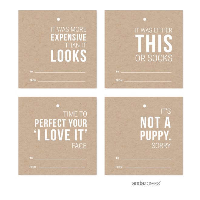 AP58283 Andaz Press Christmas Collection, Square Gift Tags, Funny Witty Labels, Kraft Style, 24-Pack 3-01